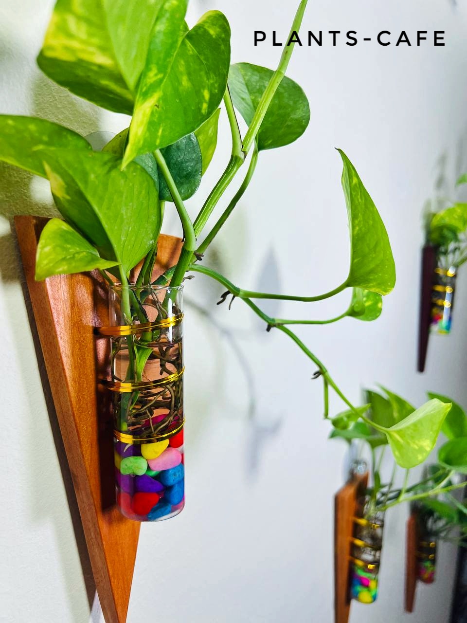 Glass Tube Triangle Shape Planters Combo (3 Piece)